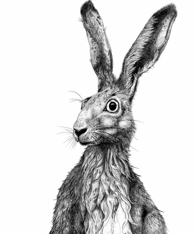 Зайчик черно белый