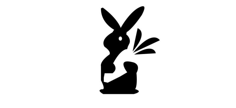 Тень зайца для детей