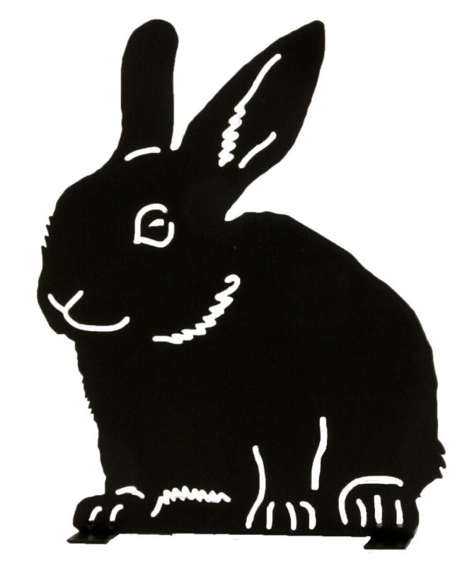 Черный зайчик