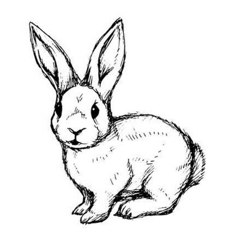 Сидячий зайчик силуэт