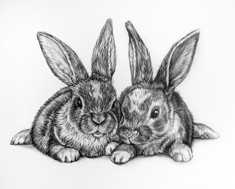 Силуэт зайца