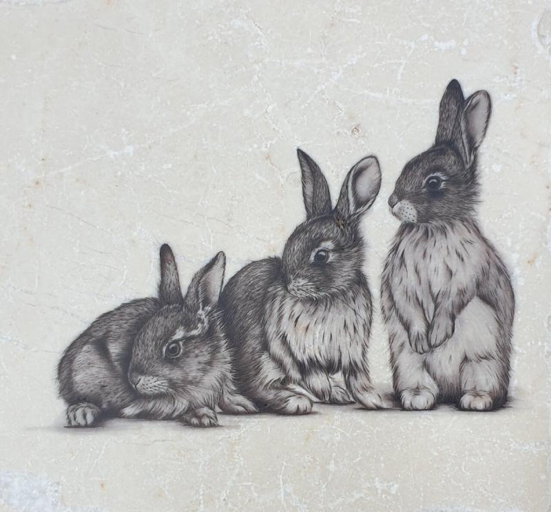 Зайка силуэт