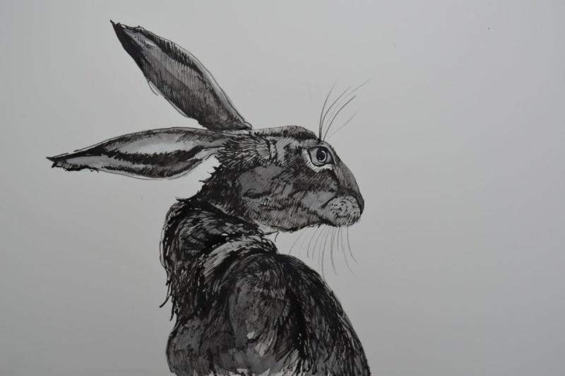 Кролик Наброски лица