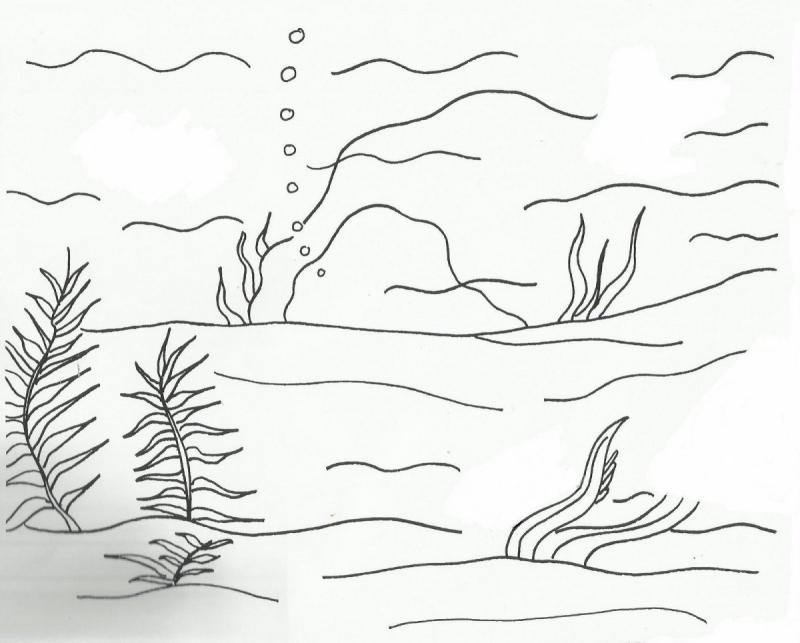 Раскраска Морское дно с водорослями