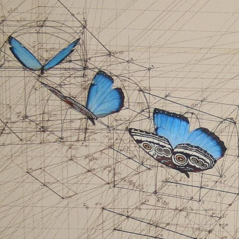 Вдохновение для рисования