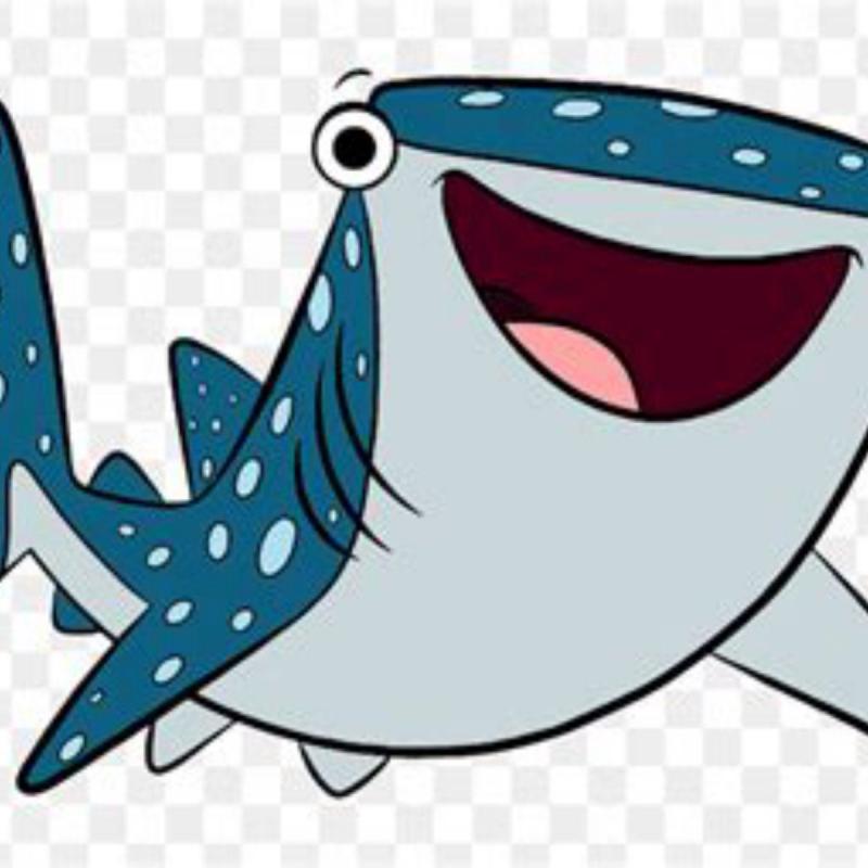 Акуленок без фона