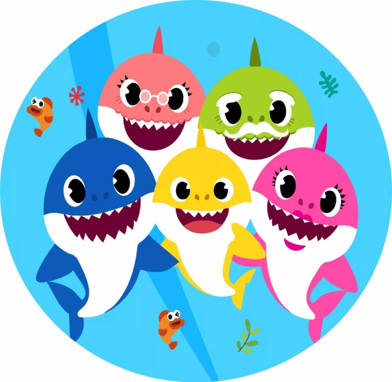 Милый котик в костюме акулы