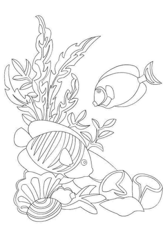 Морские рыбы раскраска