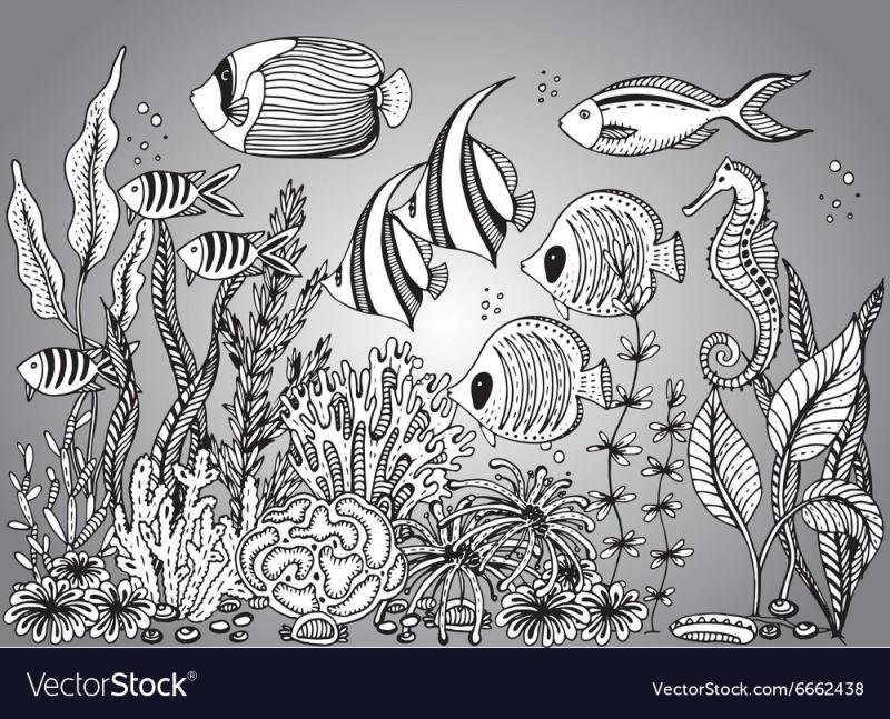 Аквариумные рыбки раскраска