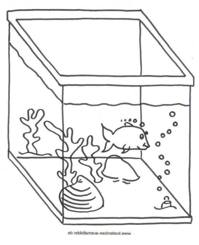 Скетч аквариум с рыбками