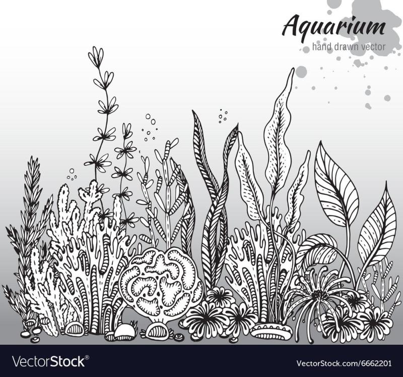 Флорариум раскраска