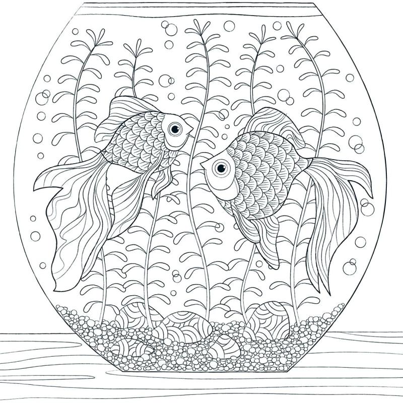 Силуэт аквариума для рисования