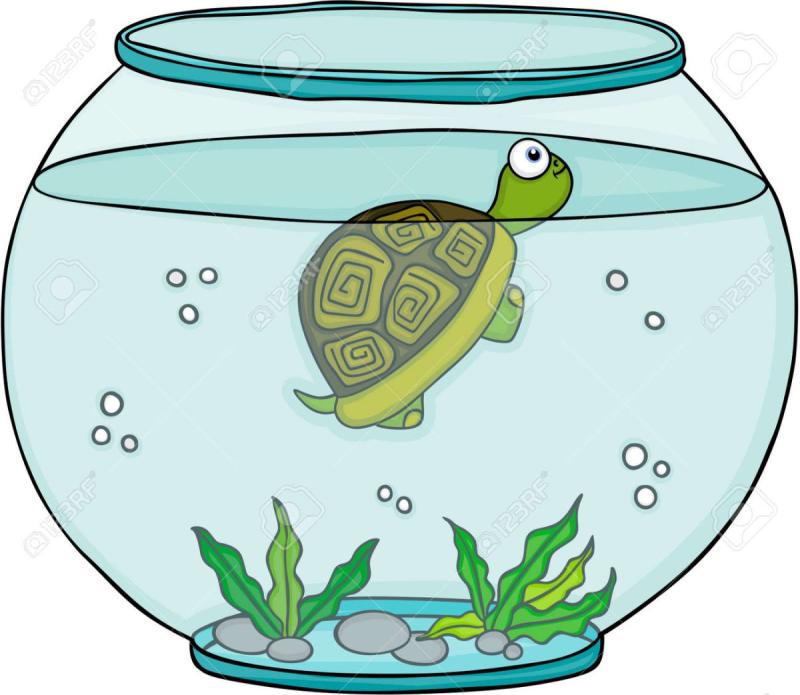 Камиль сен-Санс аквариум