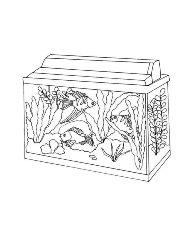 Разукрашка аквариум с рыбками
