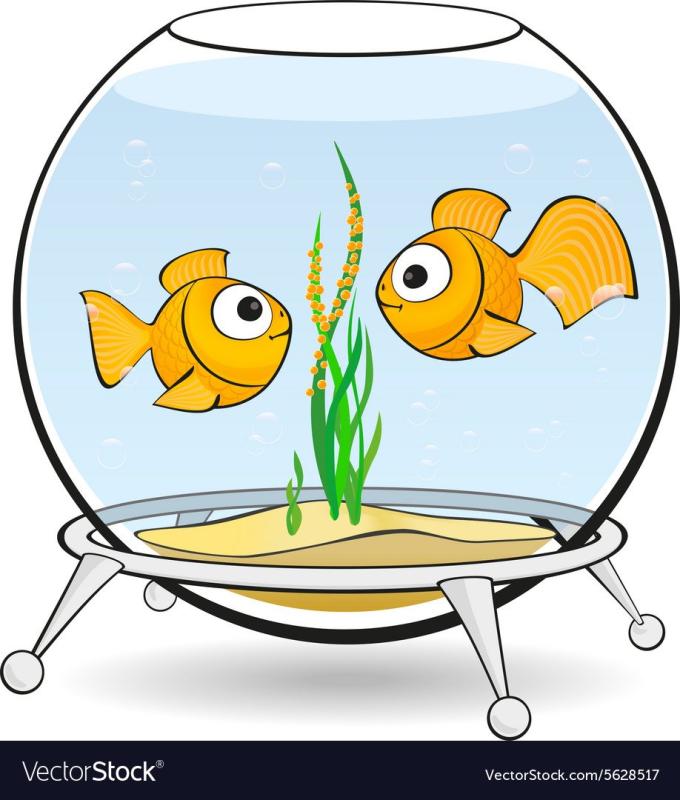 Раскраска аквариум с рыбками для детей