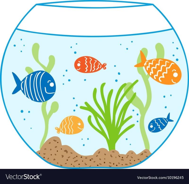 Аквариум рисунок для детей карандашом