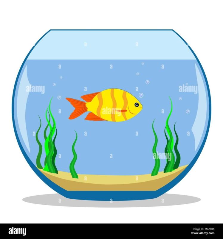 Рисование рыбки в аквариуме