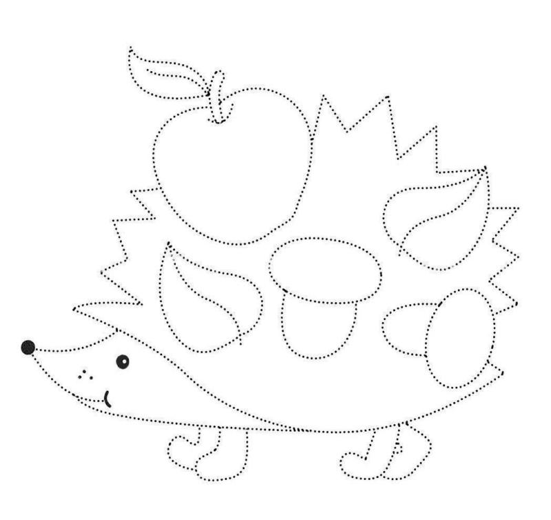 Обвести по контуру фрукты