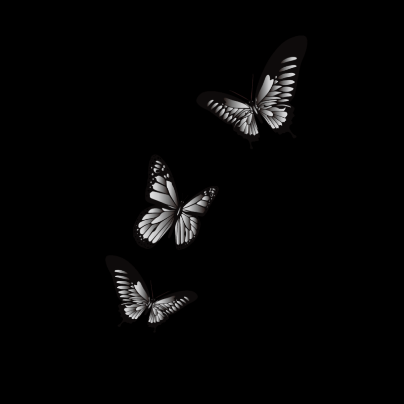 Бабочка эскиз