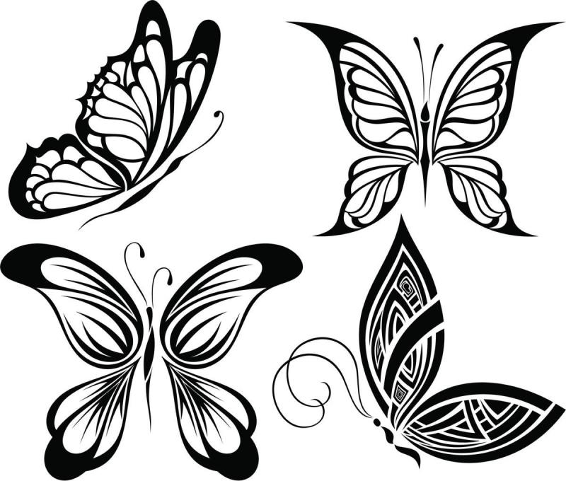 Тату бабочка контур