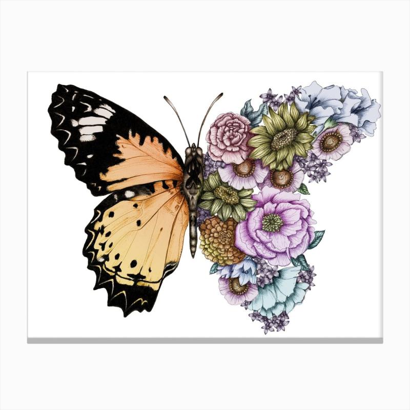 Бабочка эскиз цветной