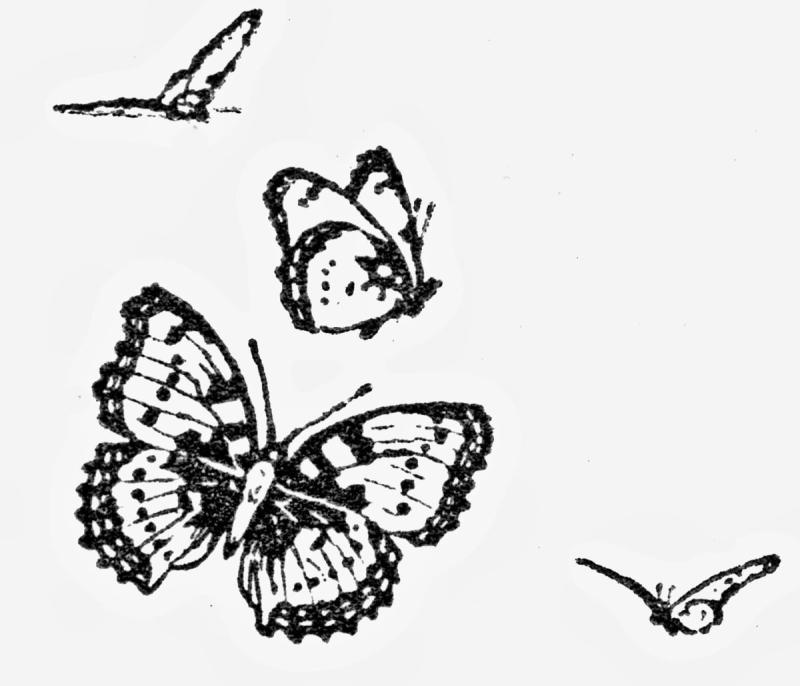 Рисование полебабочек