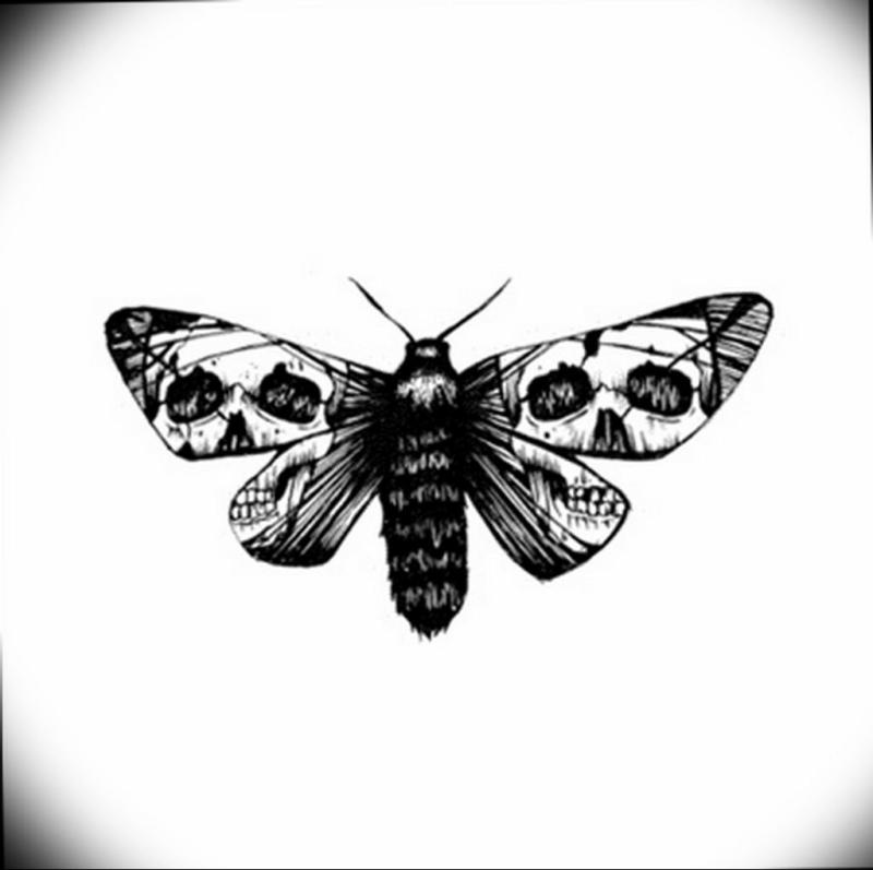 Мотылек тату эскиз
