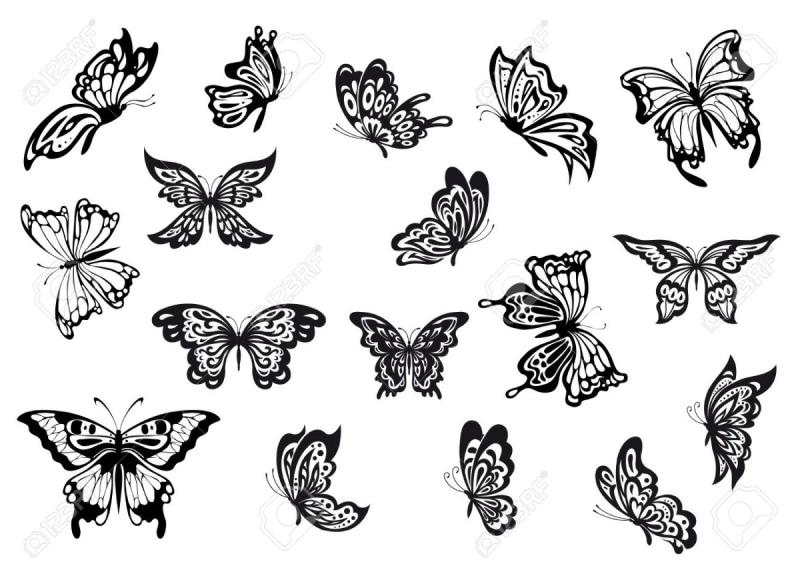 Маленькие черно белые бабочки