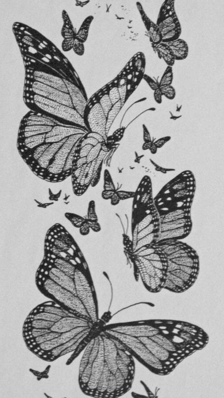 Бабочка эскиз