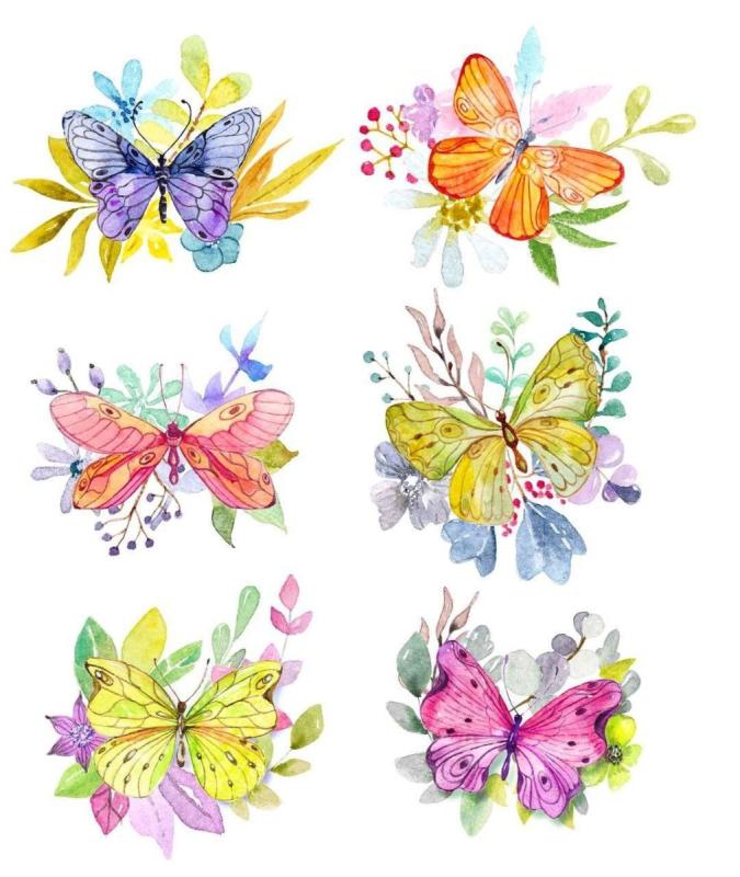 Бабочка на цветке акварель