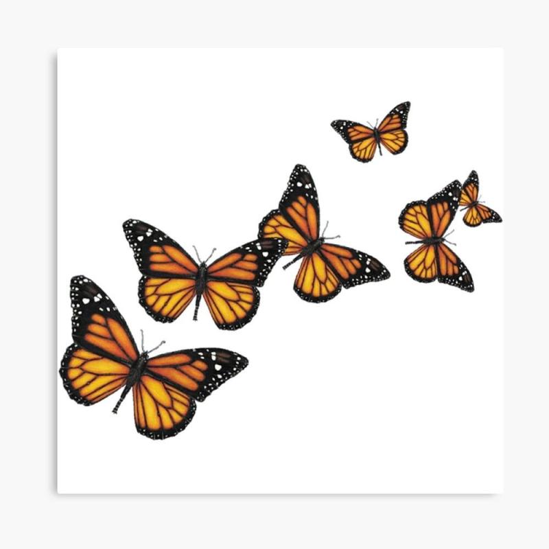 Наклейки бабочки распечатать