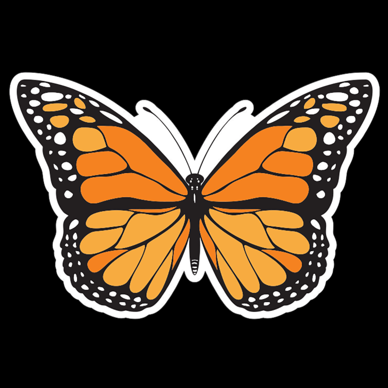 Бабочки картинки