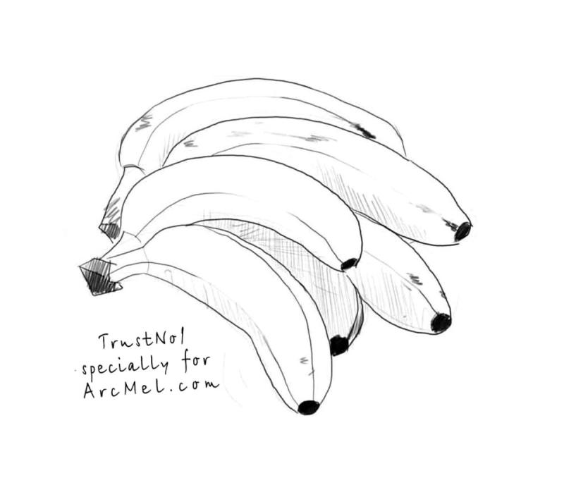 Фрукты для срисовки карандашом