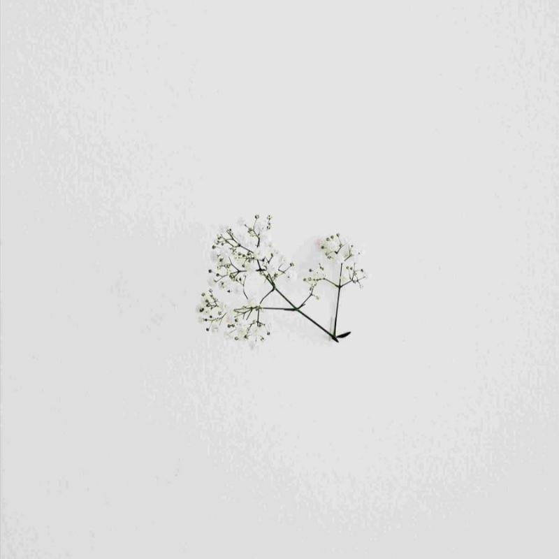 Минимализм Эстетика