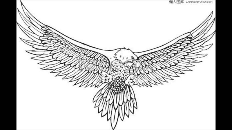 Раскраска Орел в горах