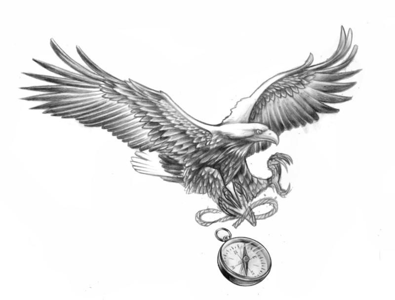 Орел эскиз