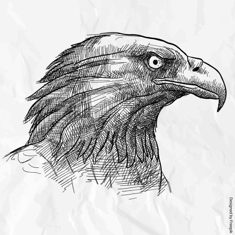 Стилизованная голова орла