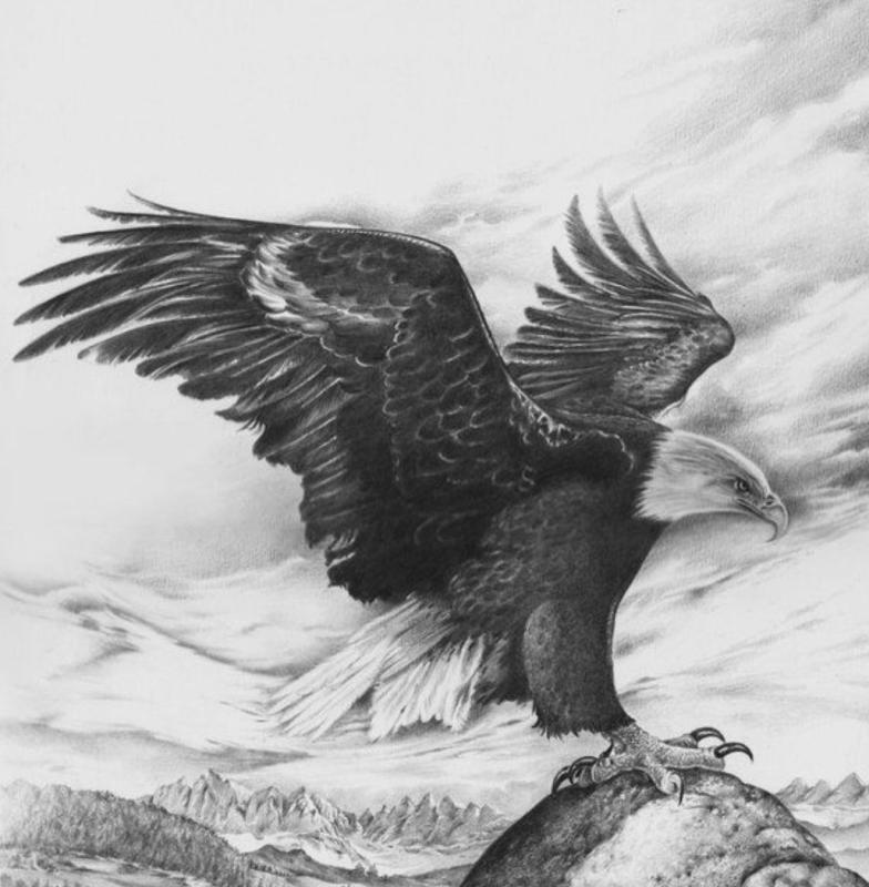 Парящий Сокол тату