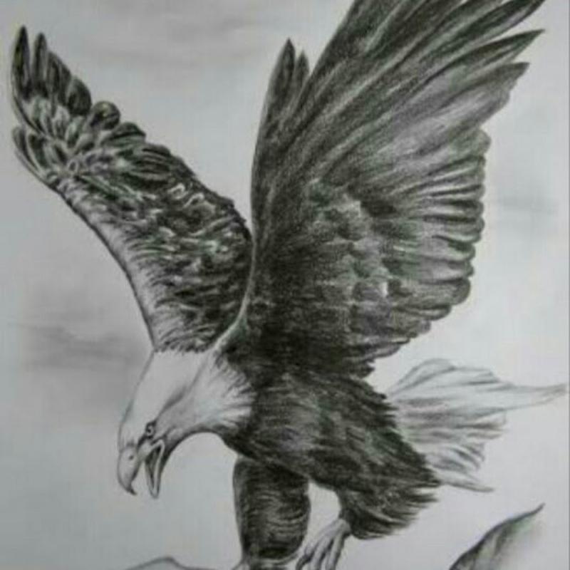 Раскраски для выжигания