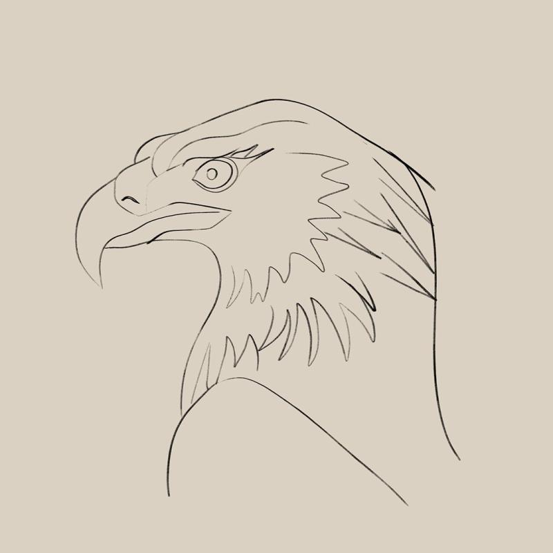Изображение головы орла