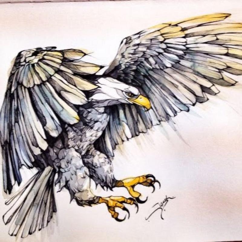 Орел карандашом