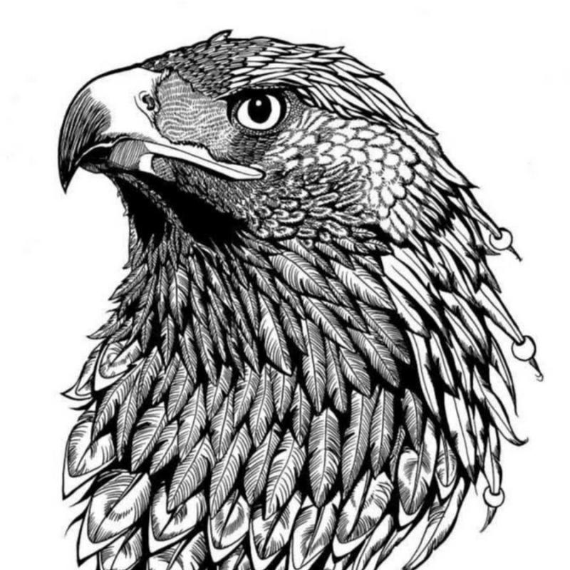 Голова орла тату