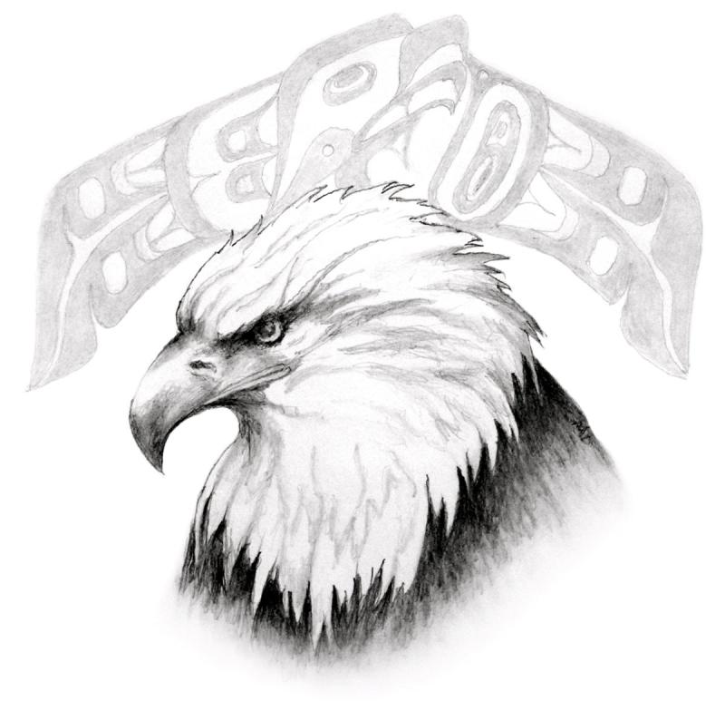 Голова орла эскиз
