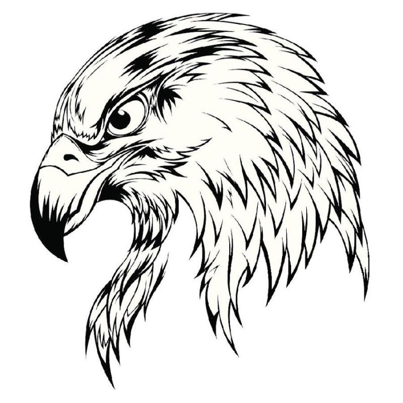 Голова орла тату