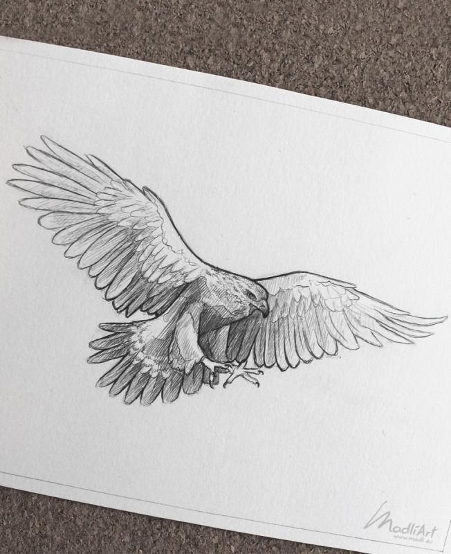 Эскизы Орлов