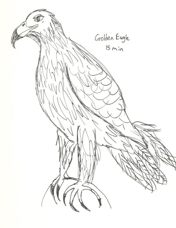 Парящий Орел эскиз