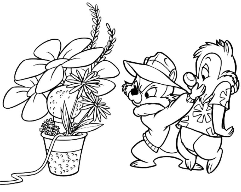 Рокфор чип и Дейл