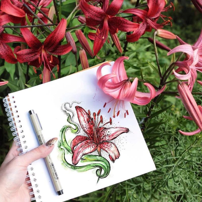 Лилии фон акварель