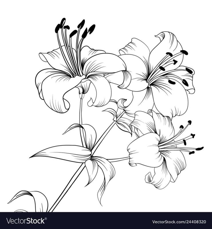 Випшейдинг Лилия