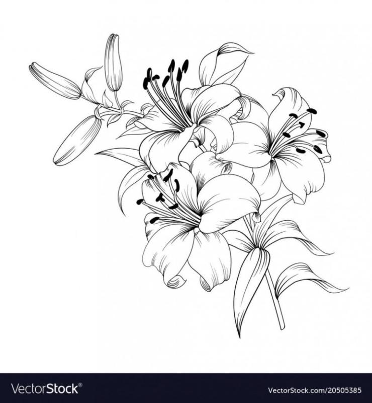 Лилии рисунок маркерами